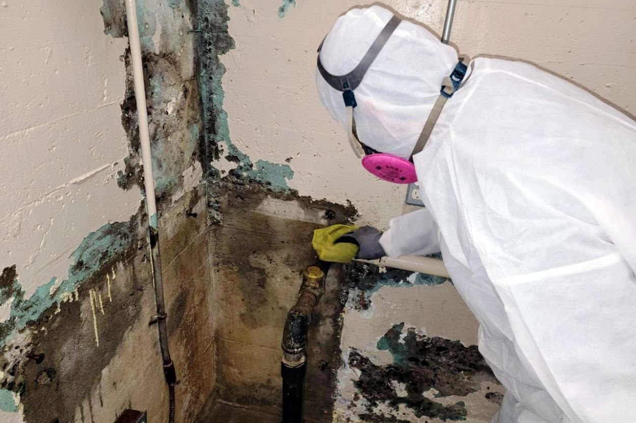 A man dressed in a white suit and protective gear is actively removing mold from a wall in a Seattle basement.