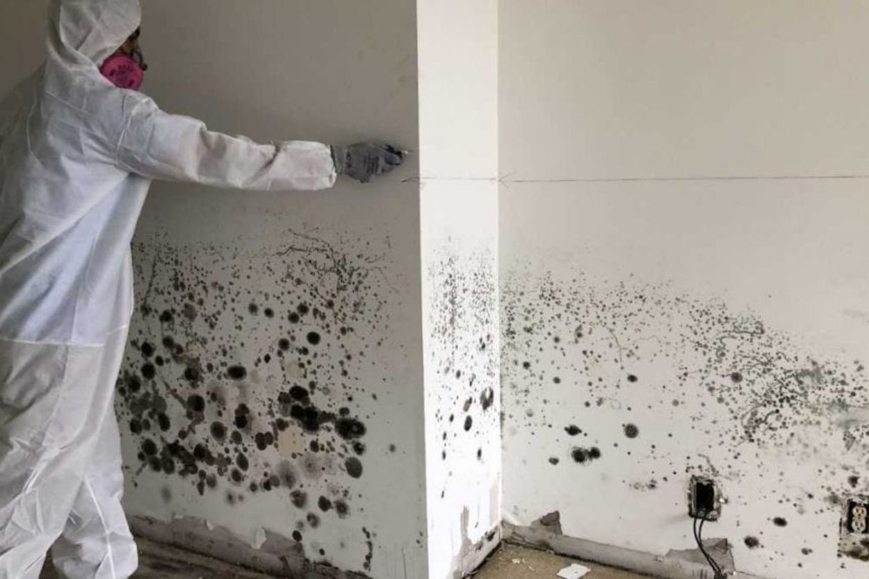 A man in white protective clothing is cleaning mold off a wall in Seattle, WA, as part of a mold removal service.