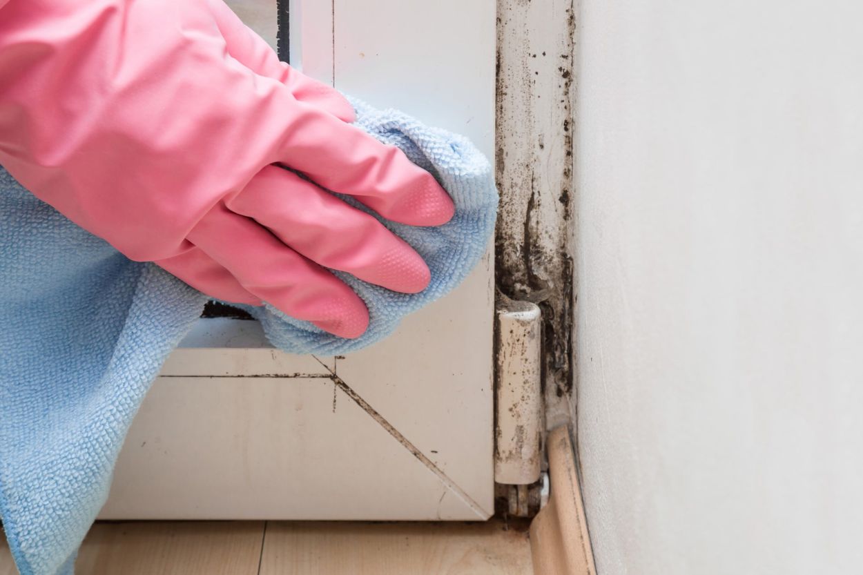 A person wearing pink gloves cleans a window, depicting a wood mold removal service in Seattle, WA.