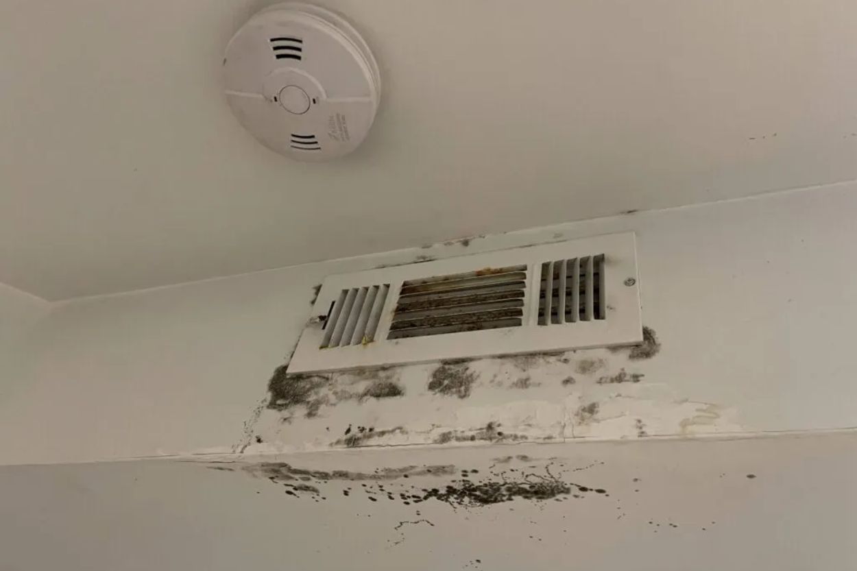 A ceiling stained with mold and a vent, emphasizing the importance of HVAC mold removal services in Seattle, WA.