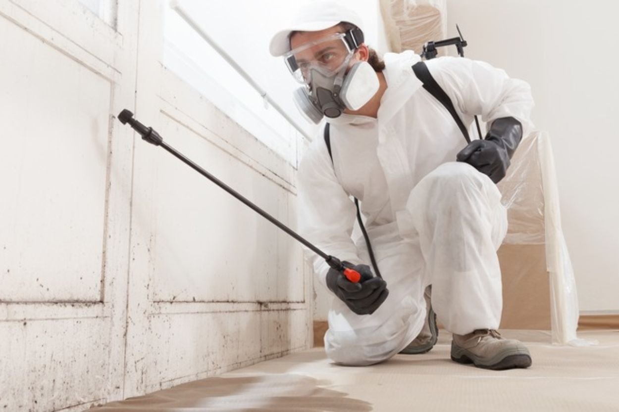 A man wearing white protective gear applies mold spray to a wall as part of a mold removal service in Seattle, WA.