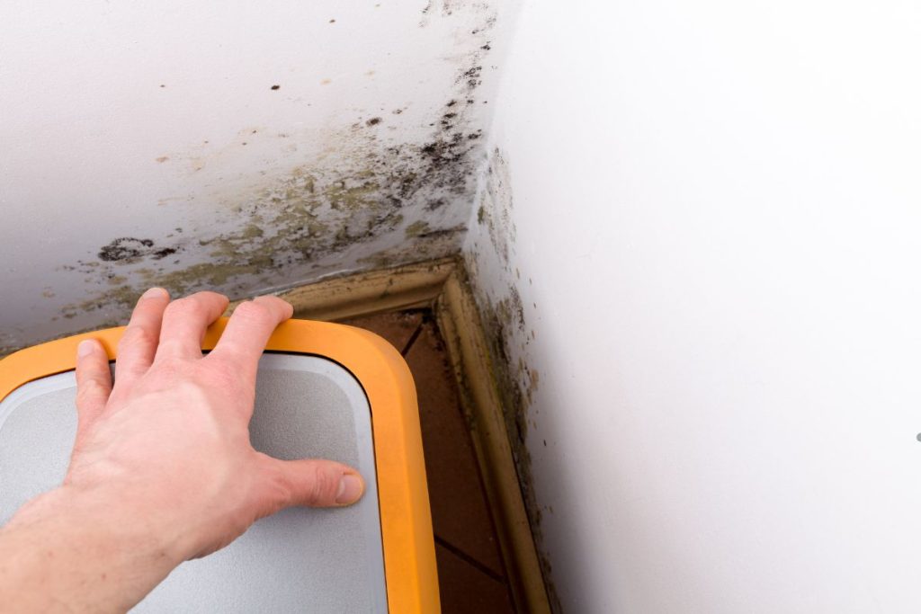 An individual is reaching for a toilet seat that is visibly contaminated with mold, emphasizing the need for sanitation.