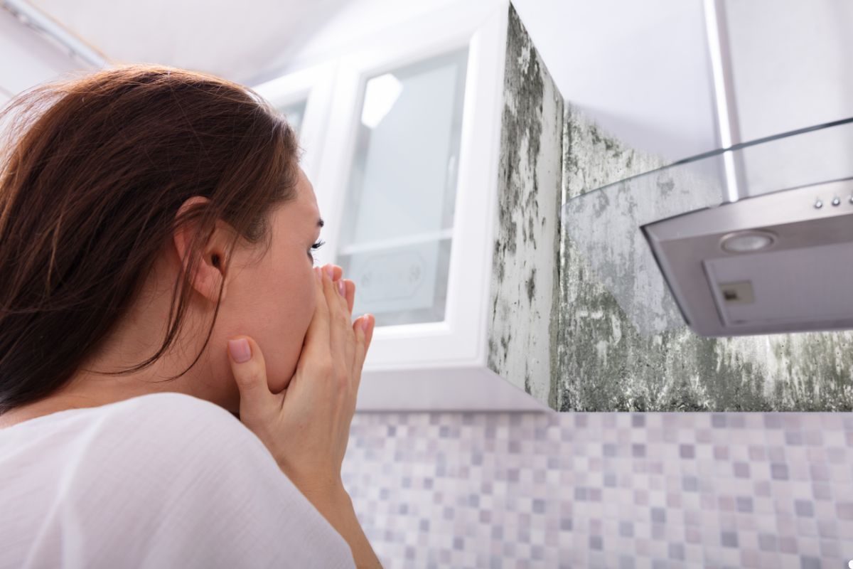 A woman examines a wall covered in mold, highlighting concerns about indoor air quality and health risks.
